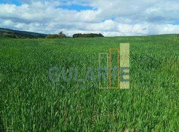 Imagem 1 · Fazenda