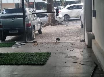 Imagem 1 · Loja-Salão
