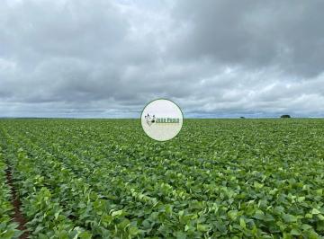 Rural , Unaí · Fazenda a venda em Unaí-MG - 472 Hectares - Fazenda DUPLA APTIDÃO