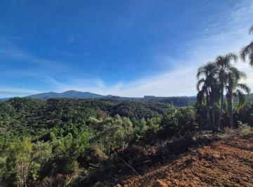 Rural , Quatro Barras · LOTES DE CHÁCARAS DE 20MIL M² - QUATRO BARRAS