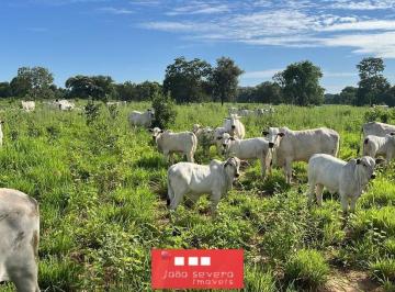 202606171458236998.jpeg · Fazenda para Venda em Pirapora