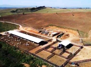 Rural · 3 Quartos · FAZENDA PORTEIRA FECHADA PARA PECUÁRIA E AGRICULTURA