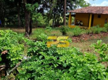 3b8d7628c94d496c8274837dcb5c53264cb123cf · GRANJA COMPLETA À VENDA | CONDE | OPORTUNIDADE!