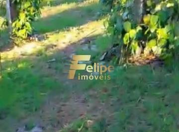 Foto 01 · ÁREA DE 20 HECTARES, À VENDA NA REGIÃO DE CORUMBAU, PRADO/BA