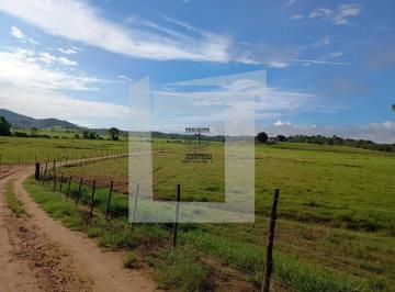 Foto 01 · Fazenda, Rural, Iguape, SP