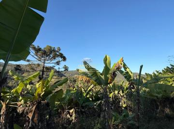 Foto 01 · Sítio à venda em Igrejinha-RS, bairro Três Irmãos, com 1 hectare de área!