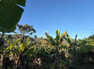 Foto 01 · Sítio à venda em Igrejinha-RS, bairro Três Irmãos, com 1 hectare de área!