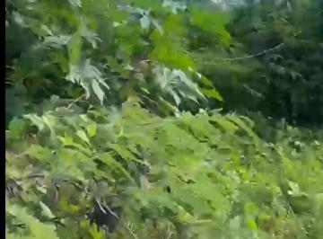 Lote à venda, MOSQUEIRO, Aracaju, SE · Lote à venda, MOSQUEIRO, Aracaju, SE