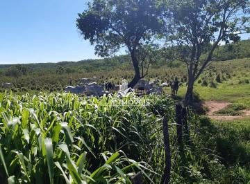 i1.jpg · Vendo Fazenda 317Hectares Pirapora MG