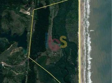Terreno · 560000m² · Vendo Àrea com 56 hectares em Comandatuba