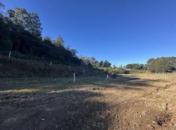 Comercial · 30000m² · Área Industrial Plana à Venda em Nova Milano, Farroupilha