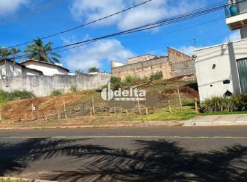 Terreno · 490m² · Terreno disponível para venda no bairro Jardim Inconfidência em Uberlândia-MG