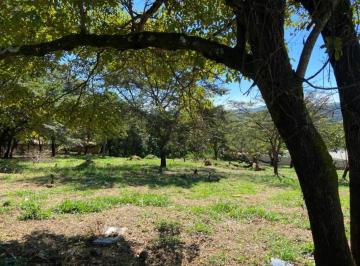 lote-terreno-em-sarzedo-mg-no-bairro-jardim-anchieta-imovel434013-img6a32f9c166eb6.jpg · Lote / Terreno à venda em Sarzedo, no bairro Jardim Anchieta