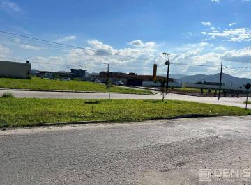 WhatsApp Image 2026-06-16 at 10.27.21.jpeg · Terreno - 250 m² - Santa Regina - Itajaí/SC