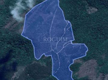 Rural · Propriedade Rural à Venda com 28 Hectares, Nascente e Plantação Eucalipto Andrelândia