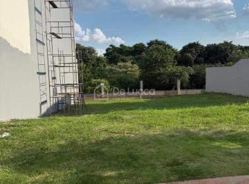 0 · terreno à venda em Parque Brasil 500