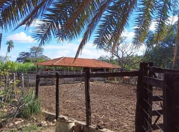 Rural , Santana de Pirapama · Rurais de 709 ha a venda em Santana de Pirapama