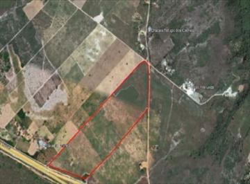 Terreno · 193400m² · Área 19.3 ha na margem da BR-101 em Rio Tinto à Venda