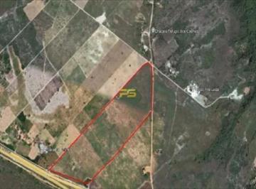 Terreno · 193400m² · Área 19.3 ha na margem da BR-101 em Rio Tinto à Venda