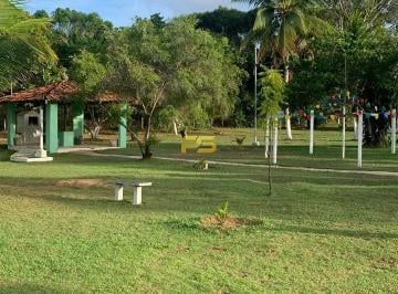 Rural · 330000m² · Fazenda 33.0 ha no Centro à Venda
