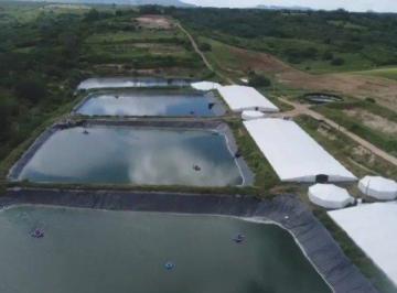 Rural · 350000m² · 1 Quarto · Fazenda 35.0 ha 1 quarto no Centro à Venda