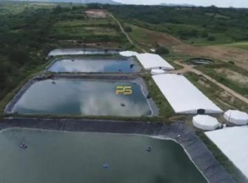 Rural · 350000m² · 1 Quarto · Fazenda 35.0 ha 1 quarto no Centro à Venda