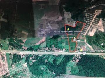 Terreno · 160000m² · Área 16.0 ha na margem da BR-101 em Alhandra à Venda