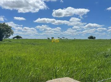 Rural · 190m² · Fazenda 190m² na margem da BR-304 em Macaíba à Venda