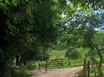 Terreno , São Roque · Investimento em São Roque: Lote Perfeito para Cabanas e Aluguel de Temporada