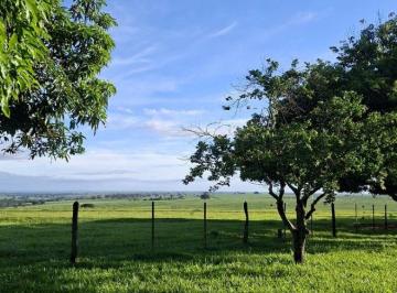 Terreno , São Roque · Terreno de 1.000m² com Ótima Topografia e Pronto para Construir em São Roque