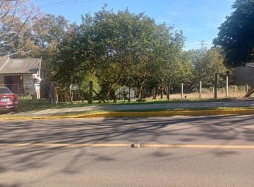 WhatsApp Image 2026-06-17 at 14.34 · Terreno grande em Nova Santa Rita