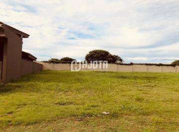 Terreno · 596m² · Terreno no Quinta do Golf Jardins com 596 m²