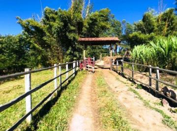 Rural · 50000m² · 4 Quartos · Rurais à venda - em Caracóis de Baixo