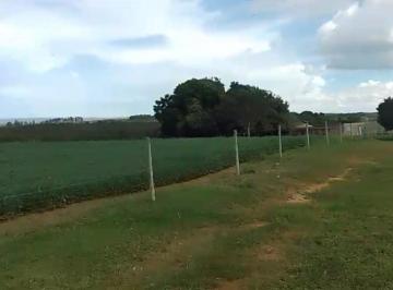 Rural · 1800000m² · Rurais à venda - em Zona Rural