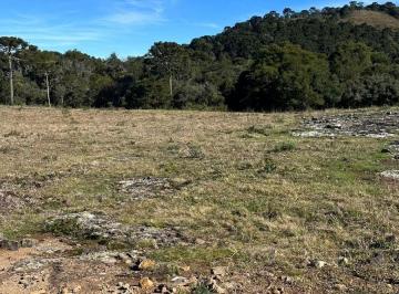 Terreno · 30000m² · Terreno à venda no bairro Lage Negra - Urubici/SC
