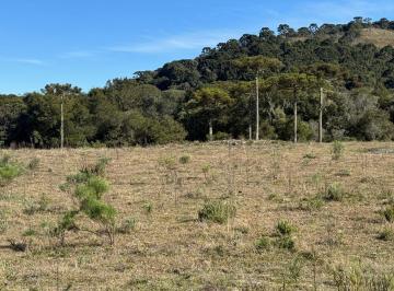 Terreno · 35000m² · Terreno à venda no bairro Invernador - Urubici/SC