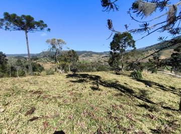 rqat008-1 · Área rural de 51 hectares Rancho Queimado, ótimo acesso, riachos, lagoas
