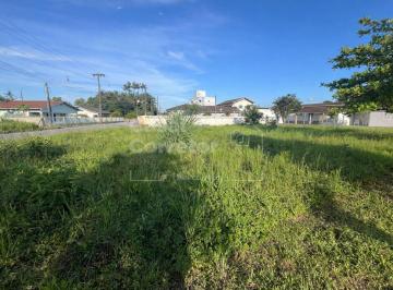 Terreno · 406m² · Terreno à venda no bairro Volta Grande - Brusque/SC