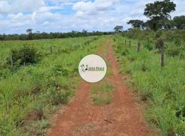 Rural , Flores de Goiás · Fazenda a venda em Flores- GO - 968 Hectares - DUPLA APTIDÃO | TODA FORMADA | BEIRA RIO