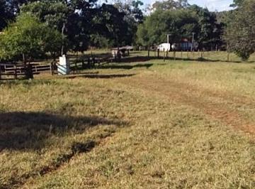 Foto 01 · Fazenda à venda em São Pedro da Cipa-MT, bairro Cidade São Pedro da Cipa, com 75.000,00 m² de área!