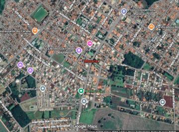 6,66% da Gleba de Terras, 13,56ha, Sítio Paraíso, Maracaí/SP - Foto [1] · 6,66% da Gleba de Terras, 13,56ha, Sítio Paraíso, Maracaí/SP