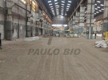 Comercial · 11000m² · Comercial para aluguel - em Campestre