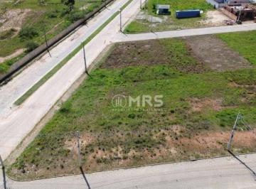 03122953710532b76ccb1166a70dde0ebb9e374a · Terreno à venda, 616 m² - Areião - Canelinha/SC
