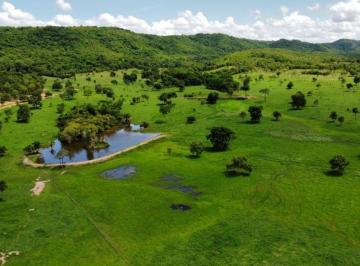 Rural de 3 quartos, Formosa · Linda Fazenda em Formosa (Go) - 58 Alqueires.