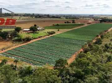 Foto 01 · Chacara, Zonra Rural, Brasília, DF