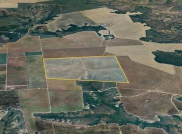 Imóvel Rural com Área de 555 ha (Fazenda Lírios dos Campos) - Loreto - MA - Foto [0] · Imóvel Rural com Área de 555 ha (Fazenda Lírios dos Campos) - Loreto - MA