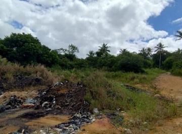 Terreno, A.T.: 70.000m², Igarassu/PE - Foto [1] · Terreno, A.T.: 70.000m², Igarassu/PE