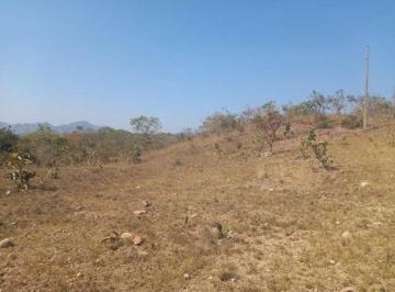 Imóvel Rural, A.T.: 1.452ha, Niquelândia/GO - Foto [1] · Imóvel Rural, A.T.: 1.452ha, Niquelândia/GO