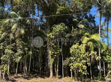 Terreno · 1200m² · Terreno amplo em região arborizada à venda, Ouro Fino, PARANAGUA - PR
