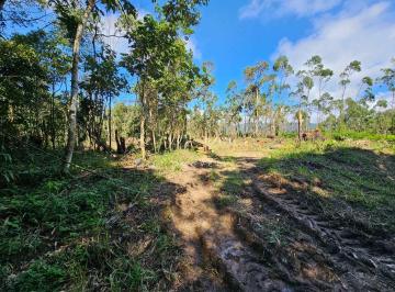 Terreno · 4000m² · Terreno, Taiaçupeba, Mogi das Cruzes, Cod: 1045